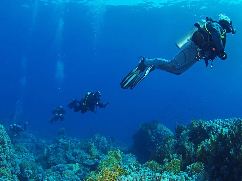 Duiken op Malta - Duikparadijs in Europa